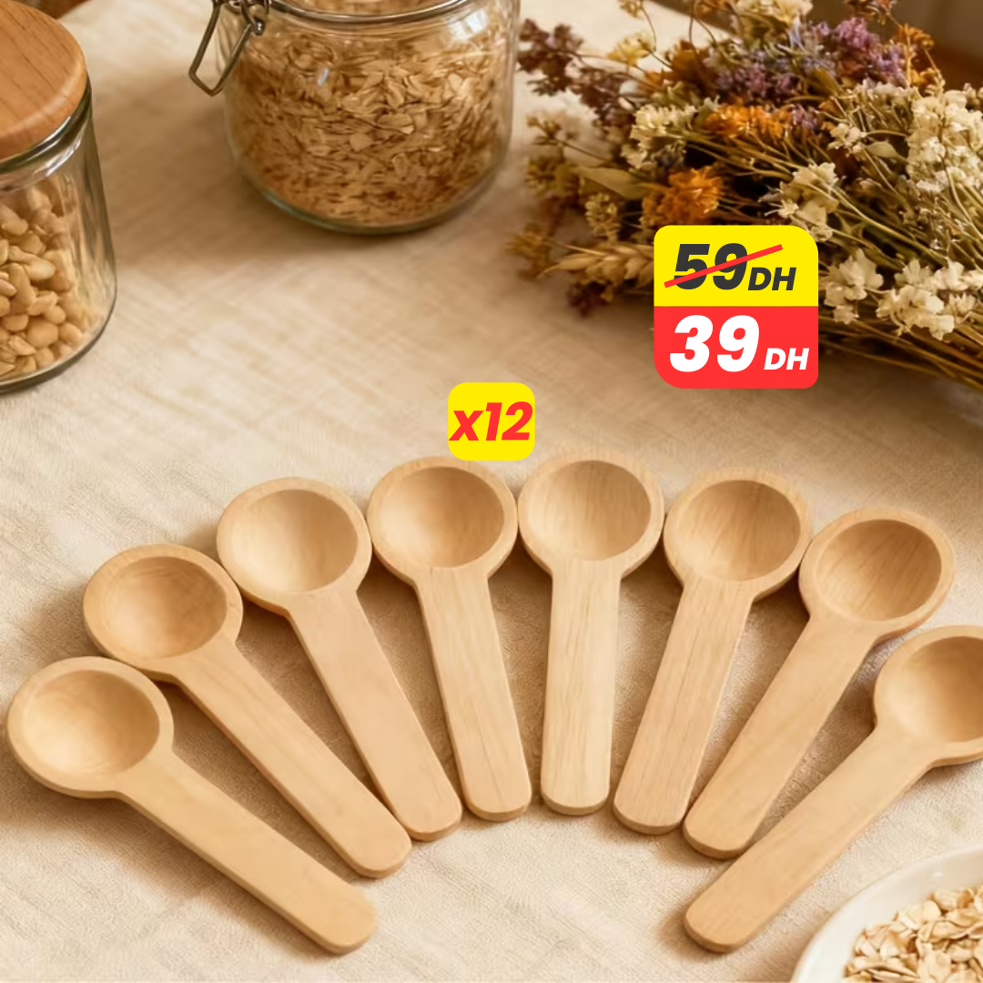 Lot de 12 Cuillères à Épices en Bois