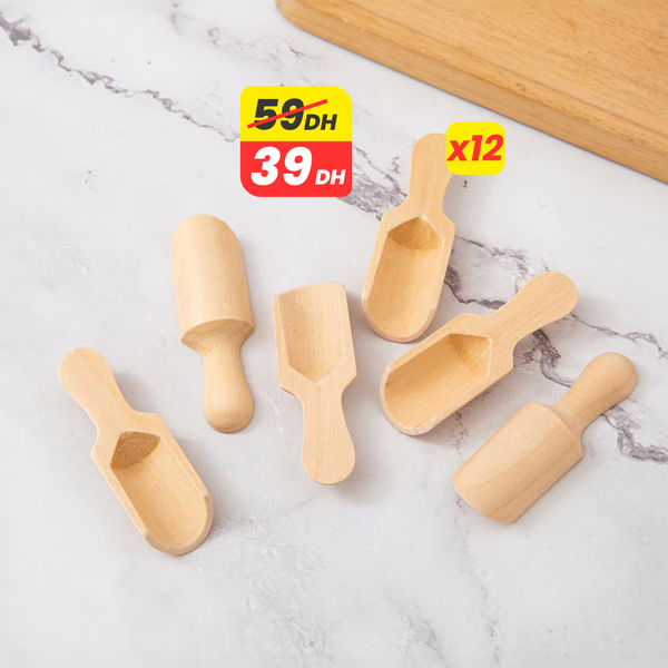 Lot de 12 Cuillères à Épices en Bois