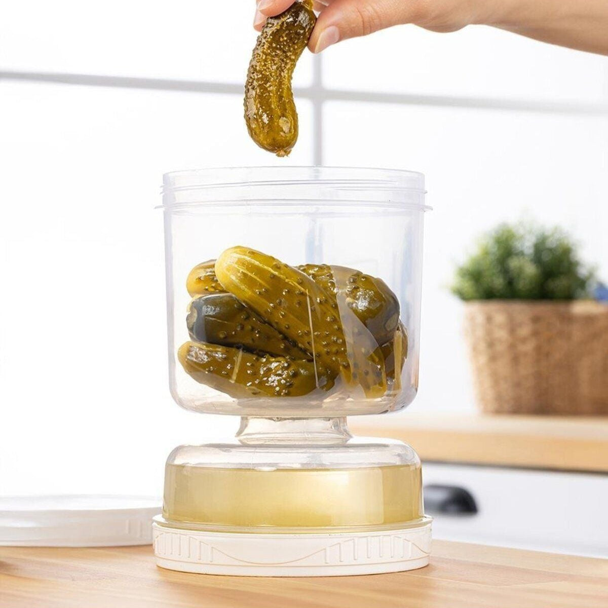 Lot de 3 Boîtes de Conservation pour Olives & Cornichons